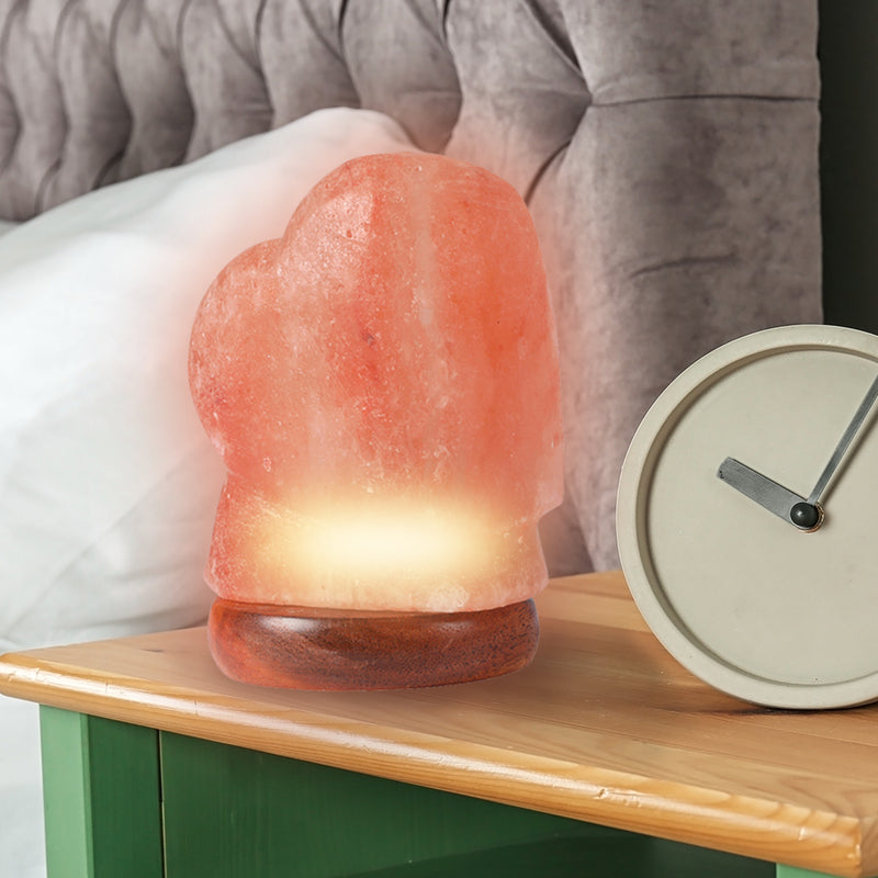 Salt Lamp Globe USB Himalayan Natural Crystal Rock Cord Night Light Lamps Globes