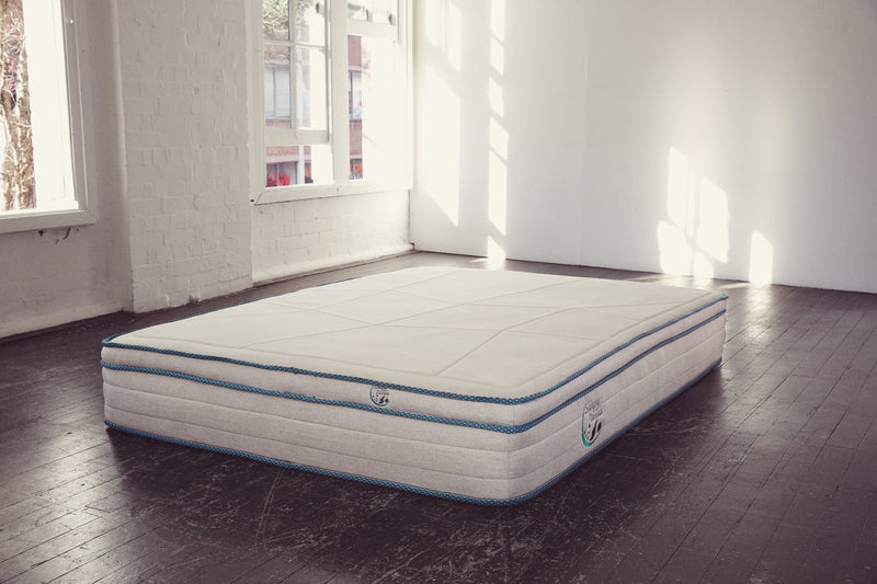 Sleepy Panda Pocket Spring Mattress-Single