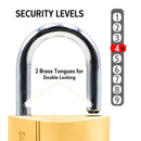 BLOSSOM PADLOCK BRASS HEAVY DUTY 40MM