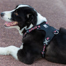 Lightweight 3M reflective Harness Black M