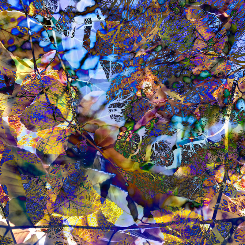 Silk Twill Scarf Cloudehill