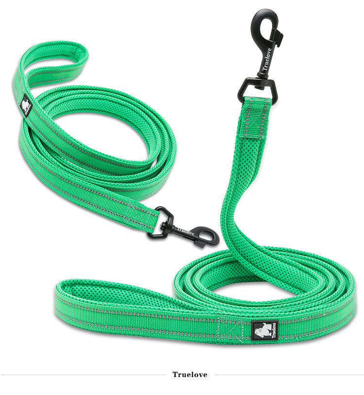 Reflective Pet Leash 2 meters Green M