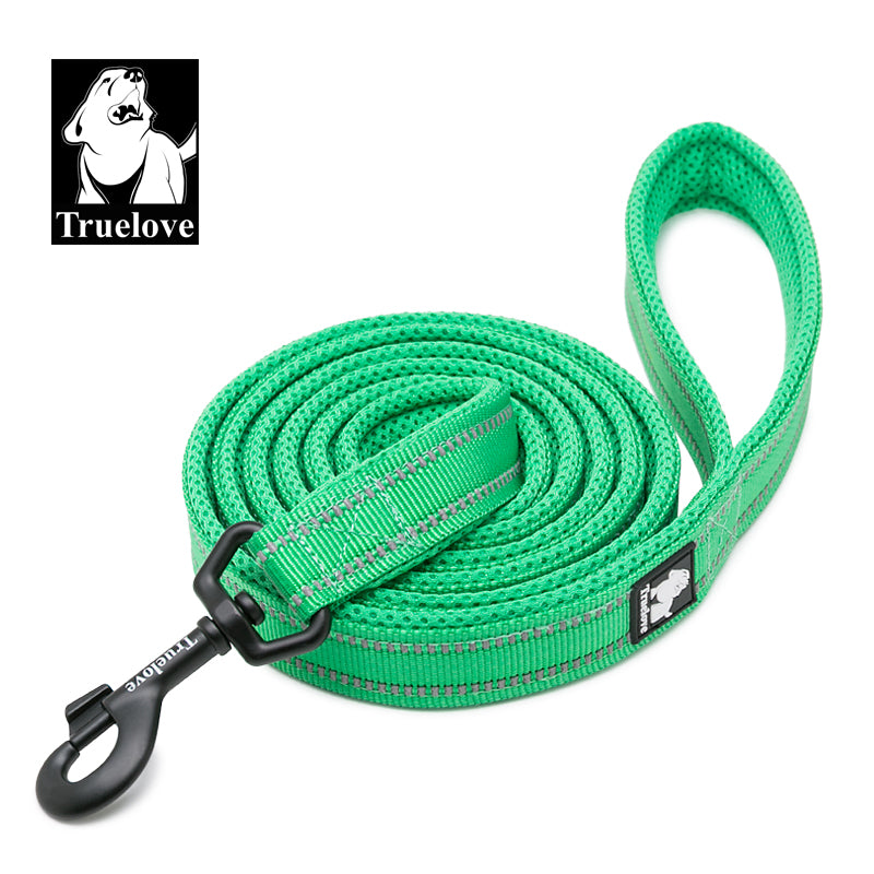 Reflective Pet Leash 2 meters Green L