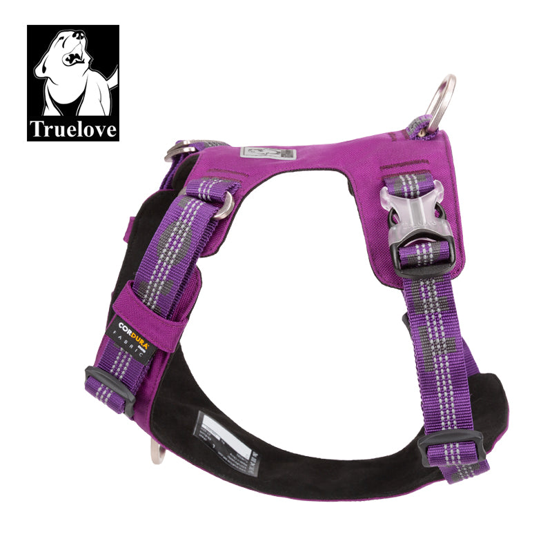 Lightweight 3M reflective Harness Purple XL