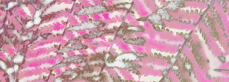 Silk Chiffon Scarf Pink Tree Fern